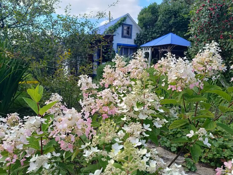 50 м² дом, 4 сотки участок 3 900 000 ₽ - изображение 57