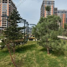 Квартира 68,5 м², 3-комнатная - изображение 3