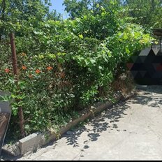 6 соток, участок - изображение 4