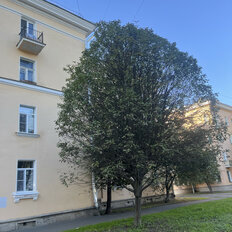 Квартира 63,6 м², 3-комнатная - изображение 1