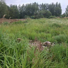 5 соток, участок - изображение 3