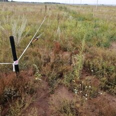 9 соток, участок - изображение 4