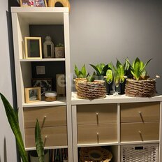 Квартира 39 м², 1-комнатная - изображение 1