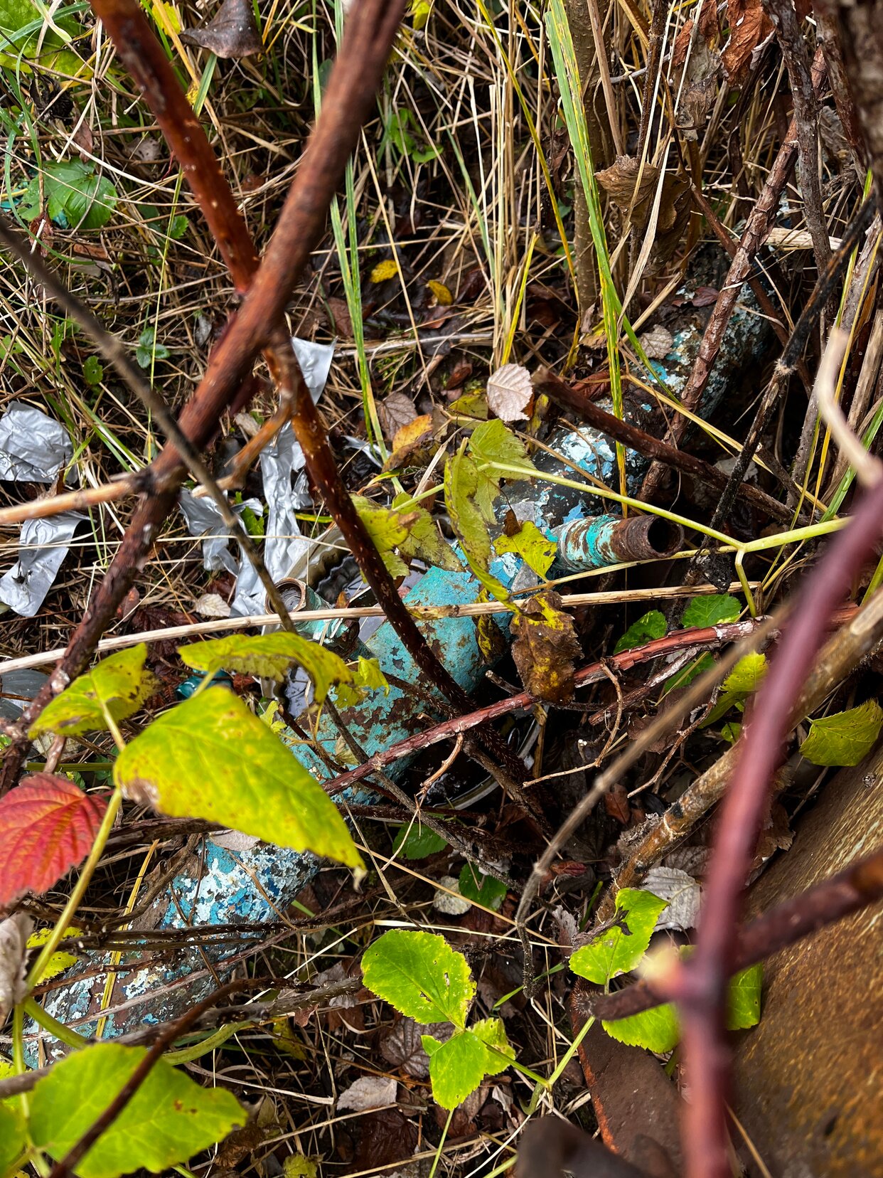 Дом 12 м² в СДТ Ручеёк — фото 10 из 20