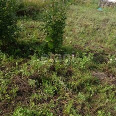 6,5 сотки, участок - изображение 3