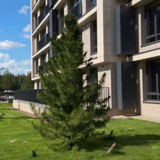 Квартира 32,6 м², студия - изображение 4