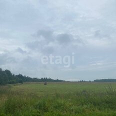 5,9 га, участок - изображение 4