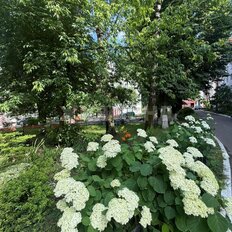 Квартира 31,7 м², 1-комнатная - изображение 1