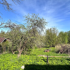 5,9 сотки, участок - изображение 2