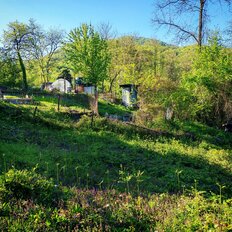 6 соток, участок - изображение 3