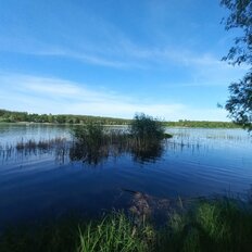 6 соток, участок - изображение 5