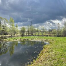 40 соток, участок - изображение 5