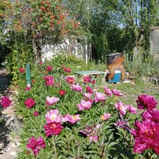 дом + 5,8 сотки, участок - изображение 3
