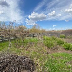 7 соток, участок - изображение 3