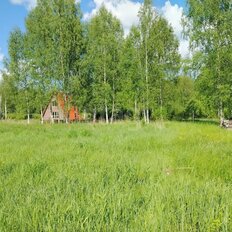 9,8 га, участок - изображение 1