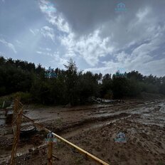 2,4 га, участок коммерческого назначения - изображение 4