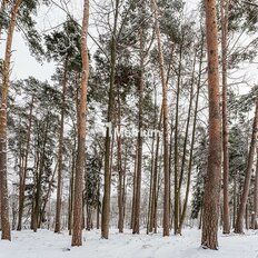 1,6 га, участок - изображение 1