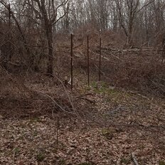 4,7 сотки, участок - изображение 3