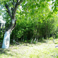 дом + 4 сотки, участок - изображение 2