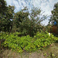 6 соток, участок - изображение 5