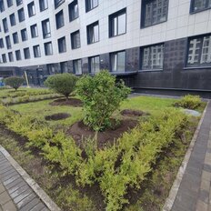 Квартира 31,7 м², студия - изображение 3