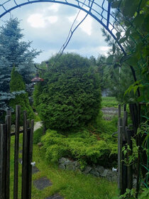 Дом, Чкаловская