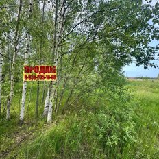 16,9 сотки, участок - изображение 1