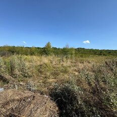 7,7 сотки, участок - изображение 4