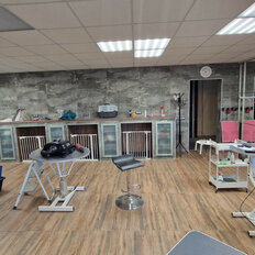 41,2 м², помещение свободного назначения - изображение 4