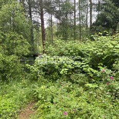 дом + 10 соток, участок - изображение 2