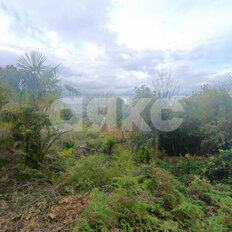 дом + 12 соток, участок - изображение 3