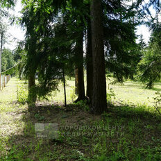 6 соток, участок - изображение 3