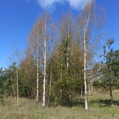 дом + 7 соток, участок - изображение 3