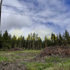 10 соток, участок - изображение 4