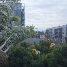 Квартира 48,6 м², 2-комнатная - изображение 3