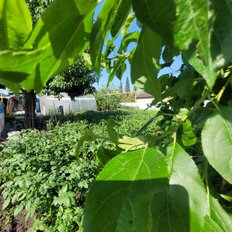 дом + 10 соток, участок - изображение 1