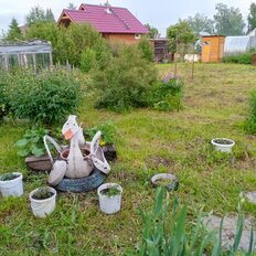 6 соток, участок - изображение 2