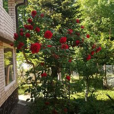 дом + 7,2 сотки, участок - изображение 1