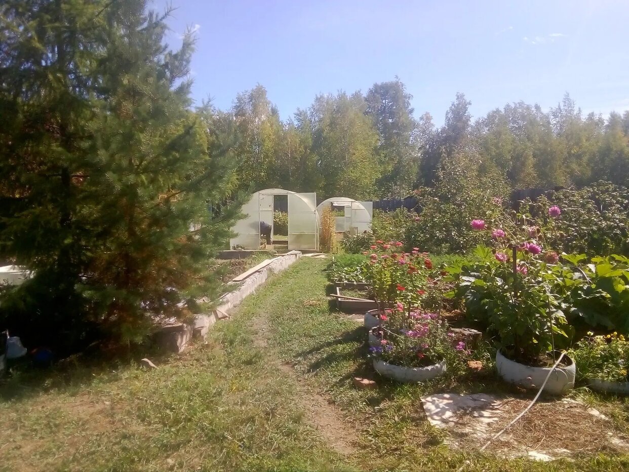 Дом 16 м² в СНТ Багульник-2 — фото 2