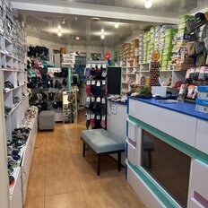 26,3 м², помещение свободного назначения - изображение 2