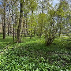 Квартира 44 м², 4-комнатная - изображение 1