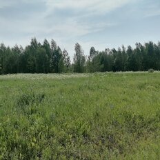 6,8 га, участок - изображение 2