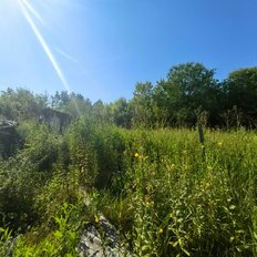 6 соток, участок - изображение 1