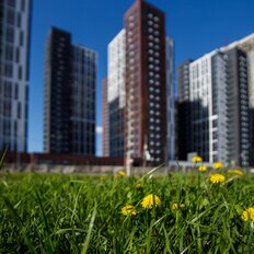 Квартира 34 м², 1-комнатная - изображение 3