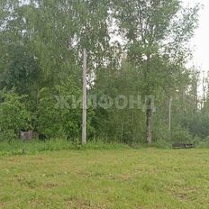 11,8 сотки, участок - изображение 3