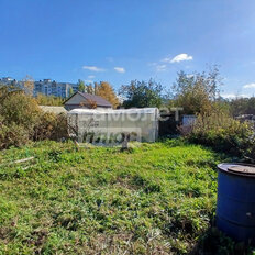 3 сотки, участок - изображение 2