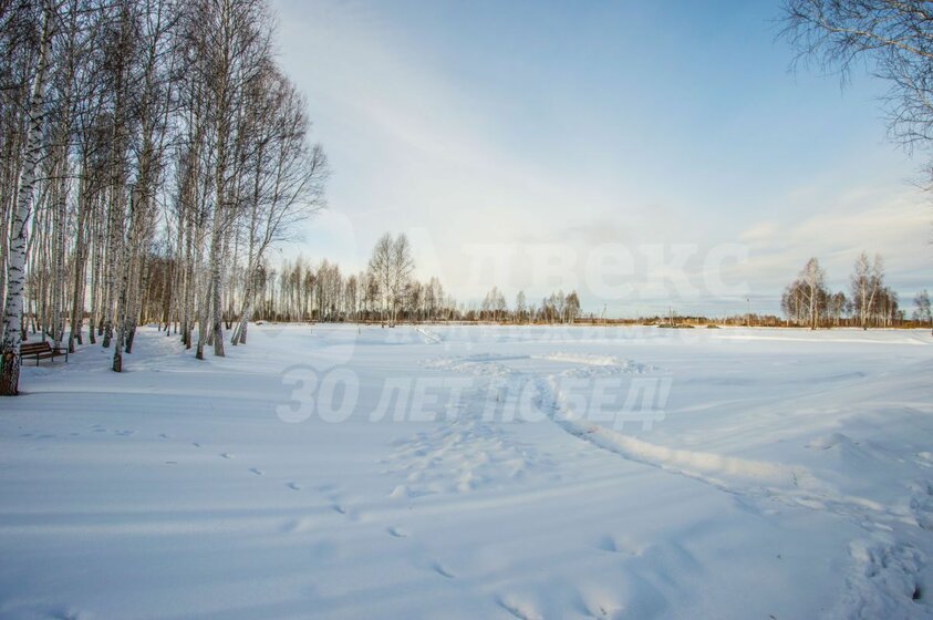 6 соток, участок 1 280 000 ₽ - изображение 33