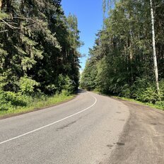 10,9 сотки, участок коммерческого назначения - изображение 3