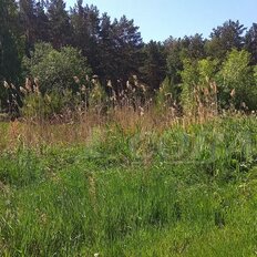 24,8 сотки, участок - изображение 4