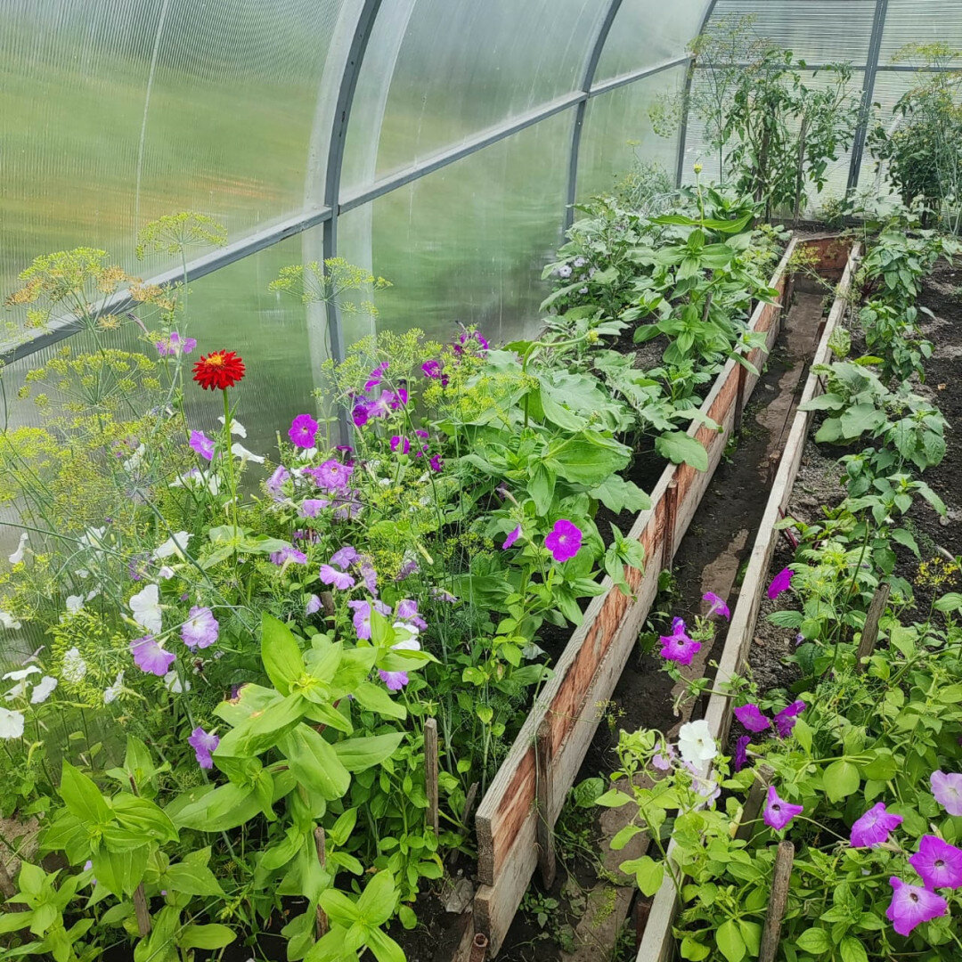 Дом 1-комн. 20 м² в Комсомольск-на-Амуре — фото 6 из 6